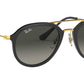 RB4253 black