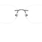 RB8783D Optics 1244