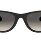 Wayfarer RJ9066S 100/11 black