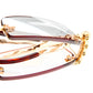 H41 GD Sun Gold