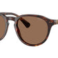 PH4221 613773 Brown Tortoise