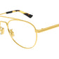 BV1340OK 001 Shiny Gold