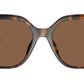 St. Barths MK2231U 30063G Dark Tortoise