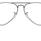 Aviator Optics RB6489 2503