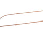 Round Double Bridge RB3647N transparent bronze copper