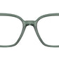 Rasey OV5488U 1547 Ivy