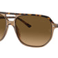 Bill One RB2205 1292M2 Havana Brown