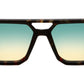 P8 Sun TAR Dark Tortoise