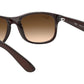 Andy RB4202 607313 matte brown on brown