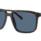 PR A22S 17N06A Tortoise