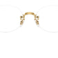 RB3929V Optics 2500