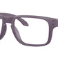 Holbrook RX OX8156 19