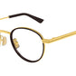 BV1337OJ 004 Gold Chocolate