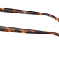 PH2277 6137 Brown Tortoise