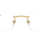RB8423 Optics 2500