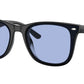 RB4420 601/80 Black