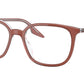 RB5406 Optics 8171
