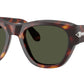 PO0054S 24/31 Havana