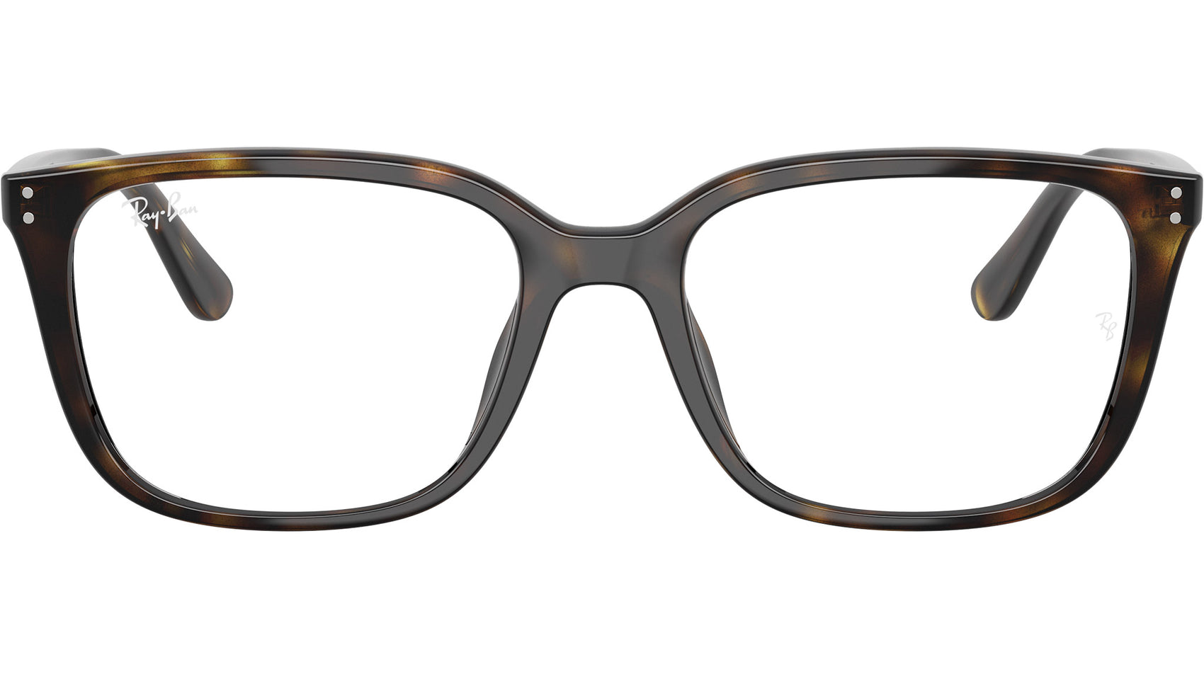 RB7248D Optics 2012