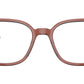 RB5406 Optics 8171