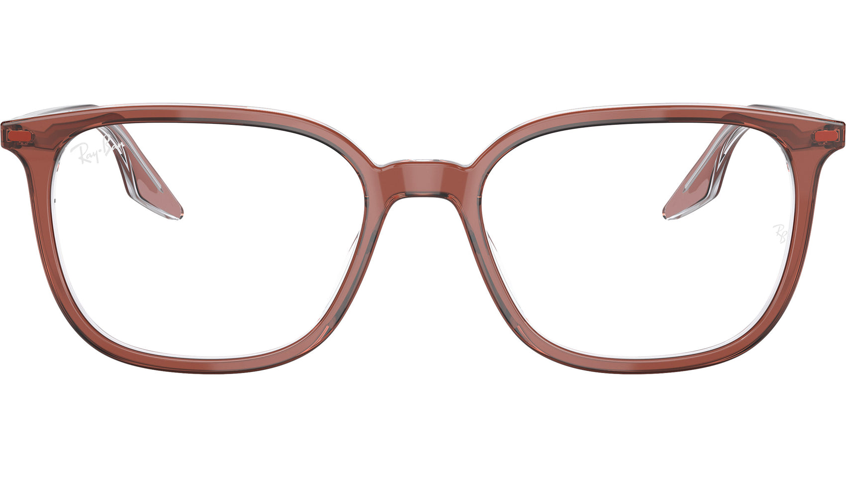RB5406 Optics 8171