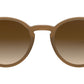 RB2180 turtledove