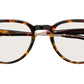 Kash Tortoise Gold