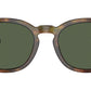 PH4206 50179A Brown Tortoise