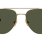 William Titanium RB8097 926531 Arista