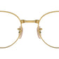 RB3691V Optics 2500