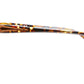 D74 TOR Tortoise