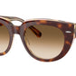 Doreen RB2286 141451 Light Havana