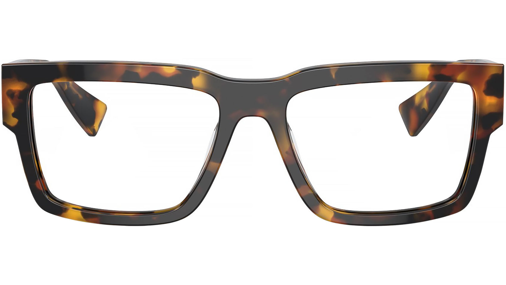 MU 02XV VAU1O1 Tortoise