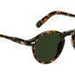 Miltzen Sun Tortoise