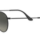 Round Flat Lenses RB3447N polished black