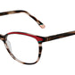 VERACRUZ 22 HVCO Tortoise