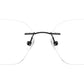 RB8783D Optics 1244