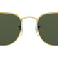 Frank RB3857 919631 legend gold