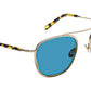 Fanagle Sun Citron Tortoise