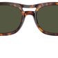 PO0064S 24/31 Havana