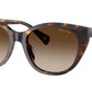 RA5324U 500313 Dark Havana