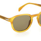 DB 1007/S Honeybrown Creamhorn