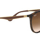 RB4285 tortoise and brown