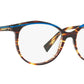 3069 001 tortoise