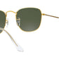 Frank RB3857 919631 legend gold
