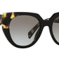 PR 14WS black and medium tortoise