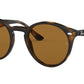RB2180 shiny dark havana