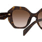 PR 16WS tortoise