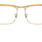 RB3875V Optics 3191