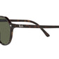 Thalia RB2195 902/31 havana